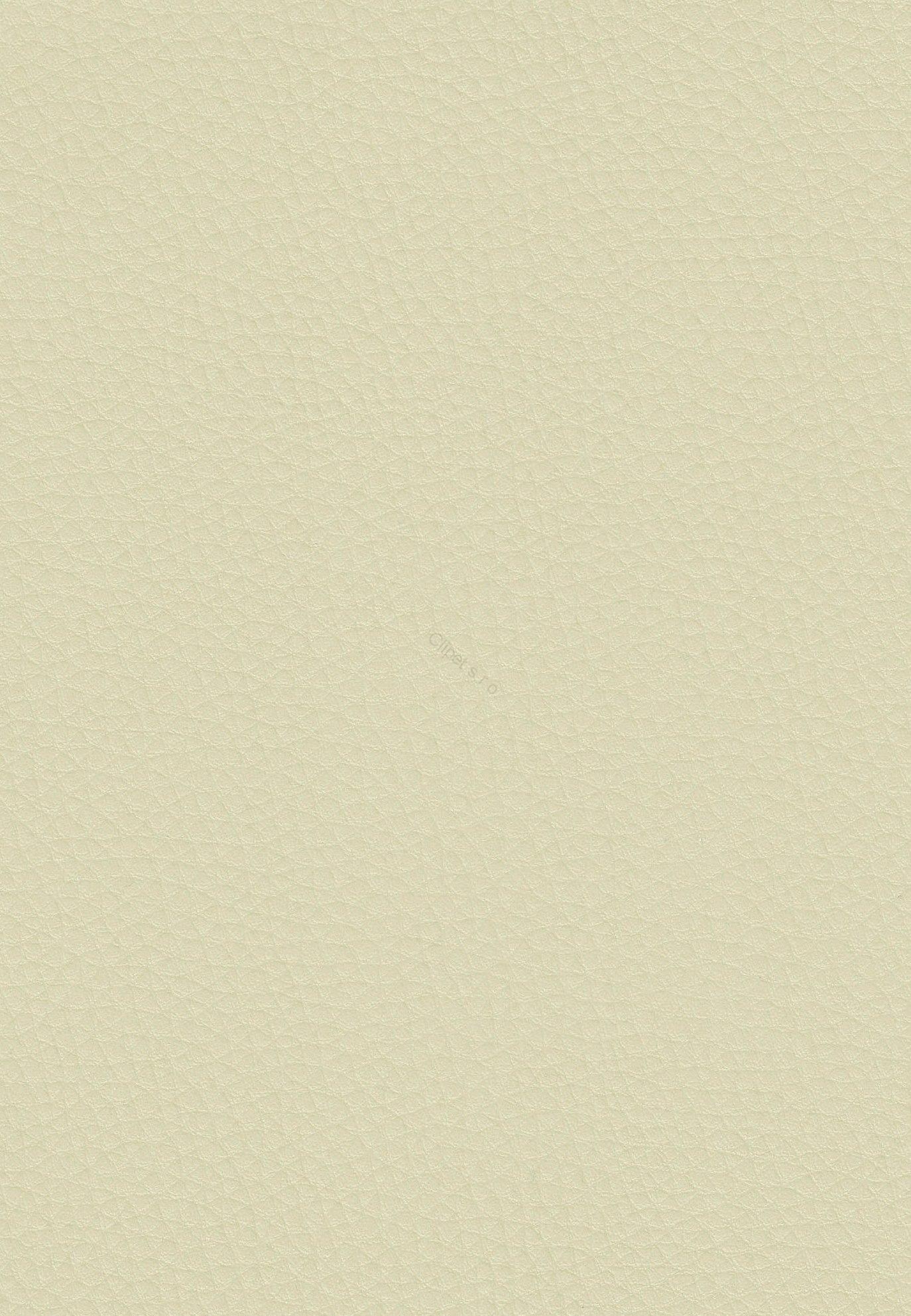Orca C/0100